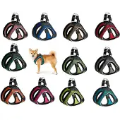 Hunter Comfort Dog Hundsele
