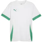 Puma Teamgoal Matchday Jersey Jr White-sport Green-sport Green, storlek 116 cm