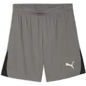 Puma Sportbyxa 'TeamLIGA26' grå / svart / vit