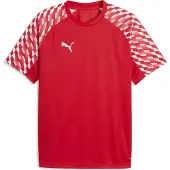 Puma Funktionstopp 'TeamLiga26' röd / eldröd / vit