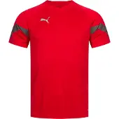 Puma Tränings T-Shirt teamFINAL - Röd/Grå, storlek Large