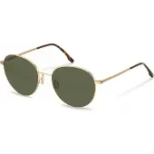 Rodenstock R1447 Pantos Solglasögon