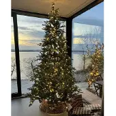 Sirius Eric Tree, klar