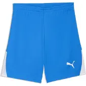 Puma Sportbyxa 'TeamLiga26' royalblå / vit