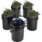 Vevor RDWC hydroponiksystem Recirkulerande djupvattenkultur 4 hinkar 18,9 l