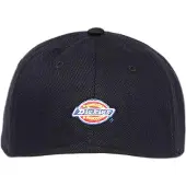 Dickies Hardwick Two Tone Keps
