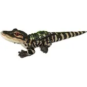Toys WILD R CK Jumbo