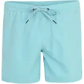 Quiksilver Solid 15´´ Simshorts