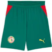 Puma Senegal 2026 Shorts Men, storlek Medium