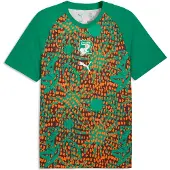 Puma Côte d'Ivoire Warmup Jersey Men, storlek X-Small