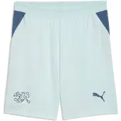 Puma Switzerland 2026 Shorts Men, storlek X-Small