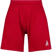 Adidas Entrada 26 Shorts