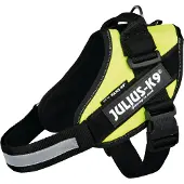 JULIUS K-9 Idc Hundsele