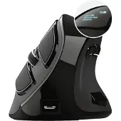 Trust Voxx - Vertikal mus - ergonomisk - högerhänt - optisk - 9 knappar - trådlös - Bluetooth, 2.4 GHz - trådlös USB-mottagare