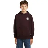 G-Star Boys Bren Hooded Sweater - Brown - boys