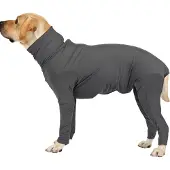 INF Jumpsuit för Hundar - Justerbar Design XL