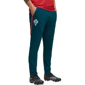 Puma Portugal Träningsbyxor VM 2026 - Ocean Tropic/Silver Mist - , storlek Large