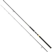 Daiwa Legalis Shore Jigging-spö