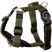 My Family Memopet H Adjustable Hundsele