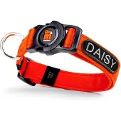 My Family Memopet Id Hundhalsband