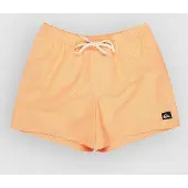 Quiksilver Everyday Deluxe Volley 15 Boardshorts radiant yellow Storlek S