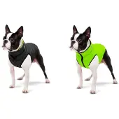 Collar Pet Airyvest Hundjacka