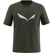 Salewa Solidlogo Dri-release T-shirt Med Korta ärmar