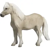 Small Foot Welsh Pony