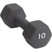 Abilica Hex Neoprene Dumbbell, 10 kg