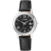 Citizen Ecodrive Watch Brun