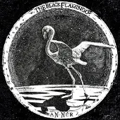 Ginza.se Black Flamingo: An-Nur