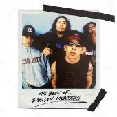 Ginza.se Swollen Members: Best Of