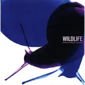 Ginza.se Phillips Anthony & Joji Hirota: Wildlife (Rem)
