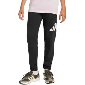Adidas Essentials Big Logo Joggers