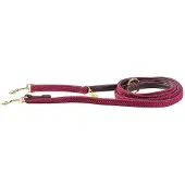 Kentucky Nylon Plaited Hundkoppel 12 Mm
