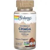 Solaray Chaga Fermented 1000mg Immunity Kapslar 60 Enheter