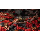 Gamers Grass grästoppar 6 mm Alien Blood Moon (Wild)
