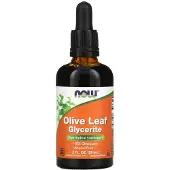 Now , Olive Leaf Glycerite, Alkoholfri, 2 fl oz (59 ml)
