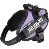 JULIUS K-9 Idc Power Mini Hundsele