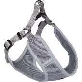 Nobby 80623-81, Hund, Haltersele, XXS, Grå, Monokromatiskt, 28 cm
