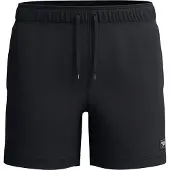 Speedo Classic Logo 16in Simshorts