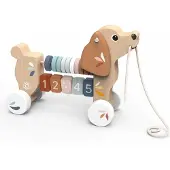 Speedy Monkey Valpen Drar Hårt I Kopplet