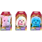 Happy Pets Färgglad Cutie Pal 3 assorterad