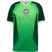 Nike Nigeria 2026 Home Shirt, grön