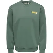 Only & Sons Sweatshirt 'ONSLUCCA ALOHA' gul / gran / lax / vit
