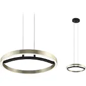 Paulmann Melira 94928 Pendellampa LED LED fast installerad 24 W Svart (matt), Guld