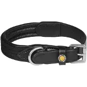 Equestro Web Hundhalsband