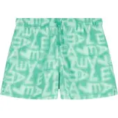 EA7 för män. 7M001715_AF21250 Sport baddräkt grön (S), Strandkläder, Polyester