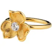 Lumoava Anna ring L62263830170