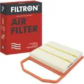 FILTRON Luftfilter AP 119/1